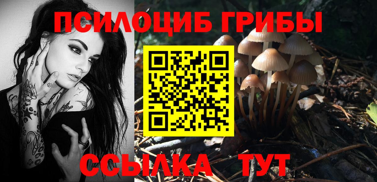Псилоцибиновые грибы Psilocybine cubensis  Вход с VPN  Орёл 