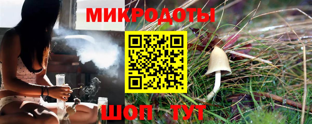 Галлюциногенные грибы прущие грибы Орёл
